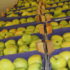 Fresh Fruits