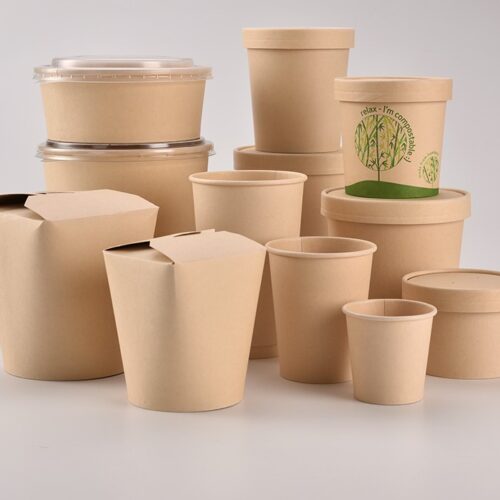 Disposable-custom-design-printed-cardboard-paper-food