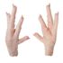Frozen Chicken Feet - Image 3
