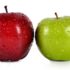 Fresh Fruits